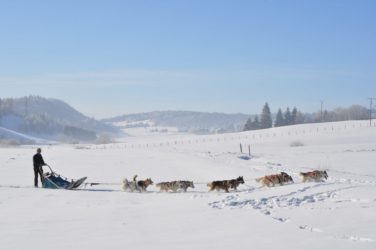 Rando hiver